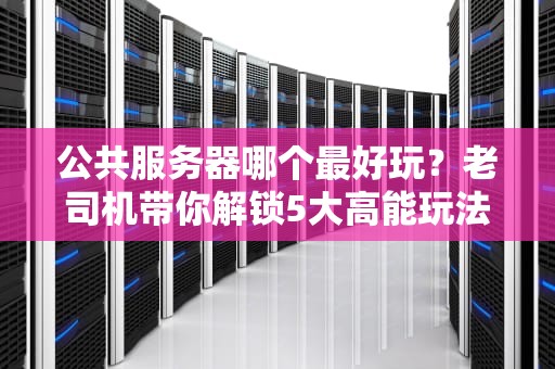 公共服务器哪个最好玩？老司机带你解锁5大高能玩法！