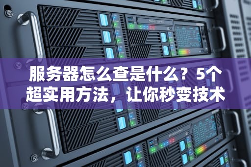 服务器怎么查是什么？5个超实用方法，让你秒变技术大神！