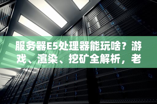 服务器E5处理器能玩啥？游戏、渲染、挖矿全解析，老司机带你飞！