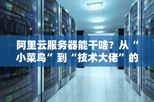 阿里云服务器能干啥？从“小菜鸟”到“技术大佬”的进阶指南！