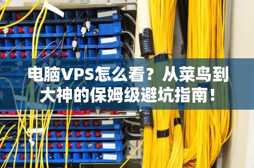 电脑VPS怎么看？从菜鸟到大神的保姆级避坑指南！
