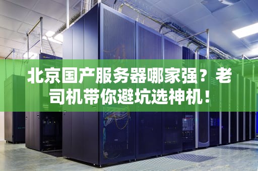 北京国产服务器哪家强？老司机带你避坑选神机！