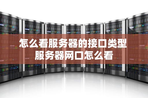 怎么看服务器的接口类型 服务器网口怎么看