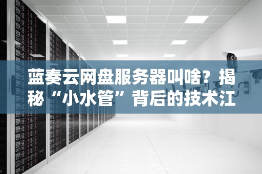 蓝奏云网盘服务器叫啥？揭秘“小水管”背后的技术江湖！