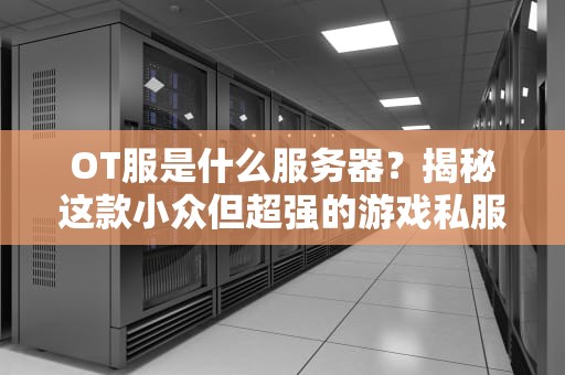 OT服是什么服务器？揭秘这款小众但超强的游戏私服！