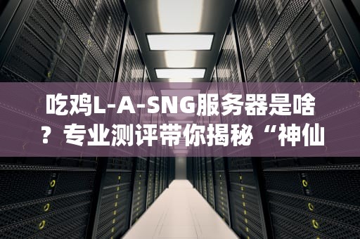 吃鸡L-A-SNG服务器是啥？专业测评带你揭秘“神仙打架”的幕后战场！