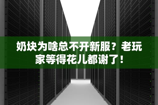 奶块为啥总不开新服？老玩家等得花儿都谢了！