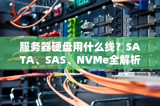 服务器硬盘用什么线？SATA、SAS、NVMe全解析，看完秒变“线材老司机”！