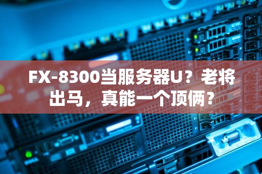FX-8300当服务器U？老将出马，真能一个顶俩？