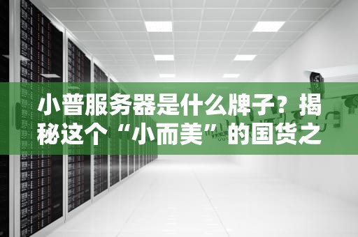 小普服务器是什么牌子？揭秘这个“小而美”的国货之光！