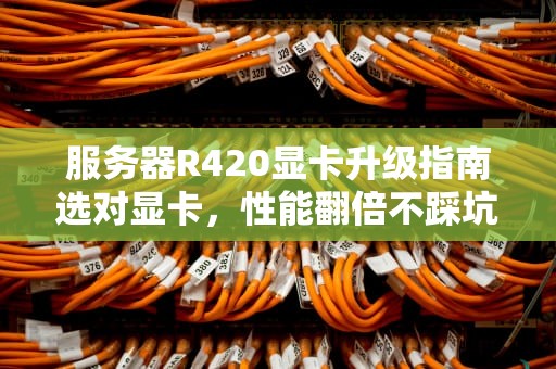 服务器R420显卡升级指南选对显卡，性能翻倍不踩坑！