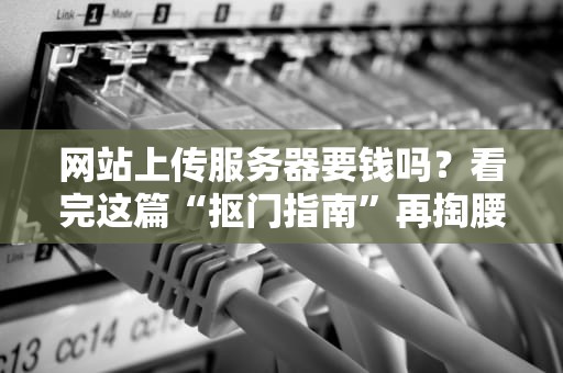 网站上传服务器要钱吗？看完这篇“抠门指南”再掏腰包！