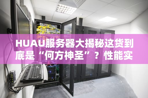 HUAU服务器大揭秘这货到底是“何方神圣”？性能实测+选购避坑指南！