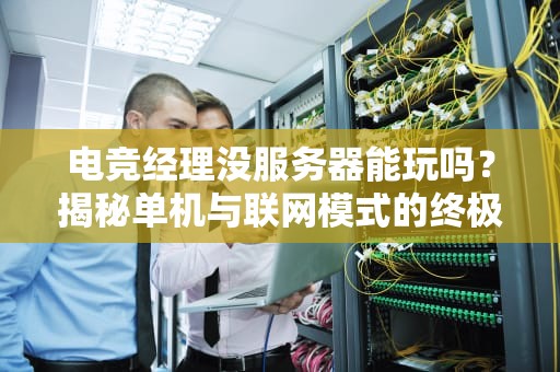 电竞经理没服务器能玩吗？揭秘单机与联网模式的终极对决！