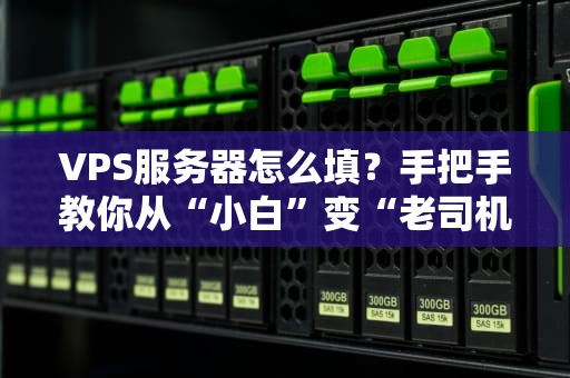 VPS服务器怎么填？手把手教你从“小白”变“老司机”！（附避坑指南）