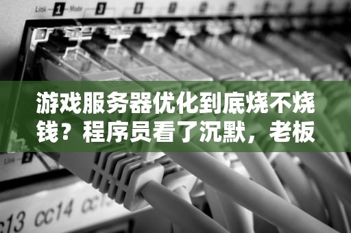 游戏服务器优化到底烧不烧钱？程序员看了沉默，老板看了流泪！