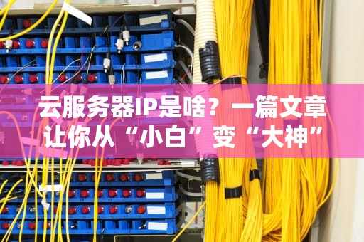 云服务器IP是啥？一篇文章让你从“小白”变“大神”！（附超实用选购技巧）