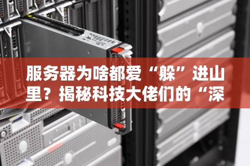 服务器为啥都爱“躲”进山里？揭秘科技大佬们的“深山老林”战略！