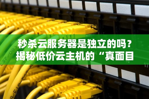 秒杀云服务器是独立的吗？揭秘低价云主机的“真面目”！