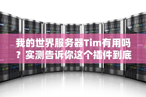 我的世界服务器Tim有用吗？实测告诉你这个插件到底香不香！