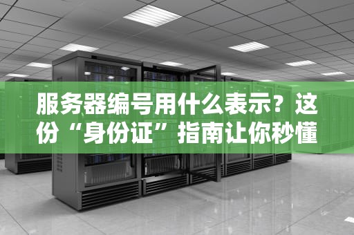 服务器编号用什么表示？这份“身份证”指南让你秒懂！