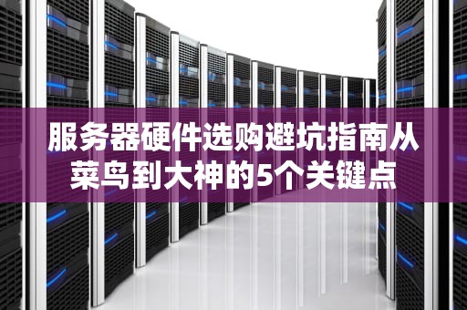 服务器硬件选购避坑指南从菜鸟到大神的5个关键点