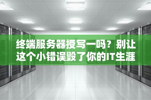终端服务器授写一吗？别让这个小错误毁了你的IT生涯！