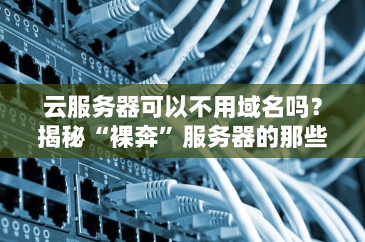 云服务器可以不用域名吗？揭秘“裸奔”服务器的那些事儿！