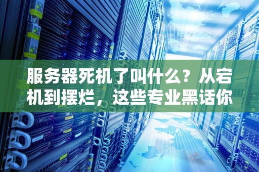 服务器死机了叫什么？从宕机到摆烂，这些专业黑话你懂几个？