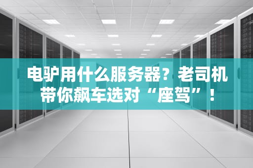 电驴用什么服务器？老司机带你飙车选对“座驾”！