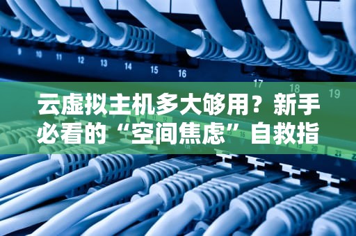 云虚拟主机多大够用？新手必看的“空间焦虑”自救指南！