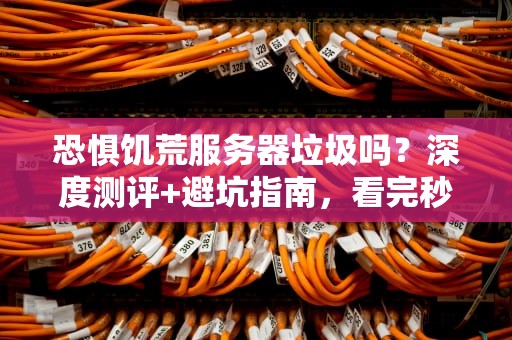 恐惧饥荒服务器垃圾吗？深度测评+避坑指南，看完秒变老司机！
