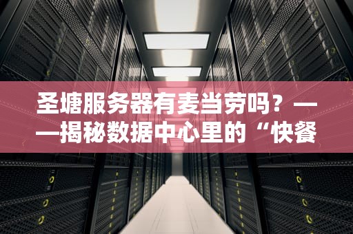 圣塘服务器有麦当劳吗？——揭秘数据中心里的“快餐”真相