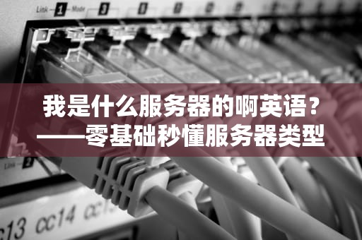 我是什么服务器的啊英语？——零基础秒懂服务器类型与英文术语