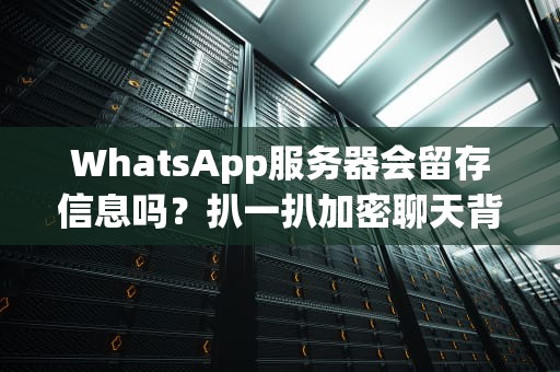 WhatsApp服务器会留存信息吗？扒一扒加密聊天背后的数据真相！