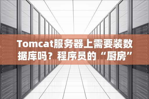 Tomcat服务器上需要装数据库吗？程序员的“厨房”到底该放什么“锅”？