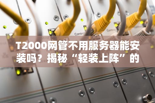 T2000网管不用服务器能安装吗？揭秘“轻装上阵”的运维新姿势！