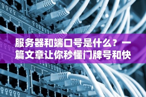 服务器和端口号是什么？一篇文章让你秒懂门牌号和快递员的奇妙关系！