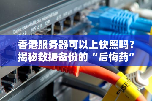 香港服务器可以上快照吗？揭秘数据备份的“后悔药”真相！