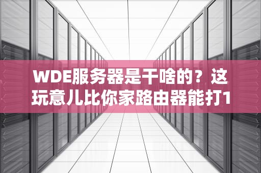 WDE服务器是干啥的？这玩意儿比你家路由器能打100倍！