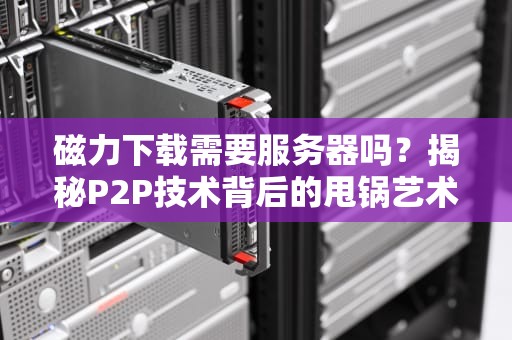 磁力下载需要服务器吗？揭秘P2P技术背后的甩锅艺术！