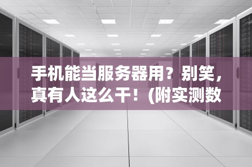 手机能当服务器用？别笑，真有人这么干！(附实测数据)