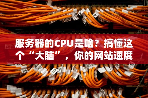 服务器的CPU是啥？搞懂这个“大脑”，你的网站速度飞起！