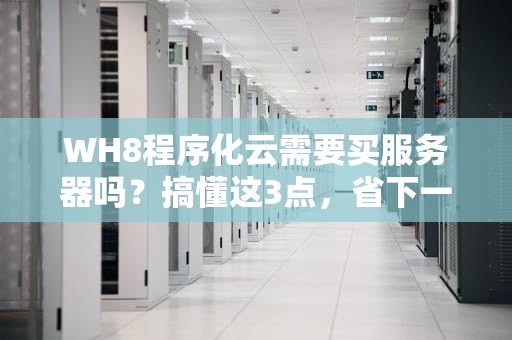 WH8程序化云需要买服务器吗？搞懂这3点，省下一年奶茶钱！