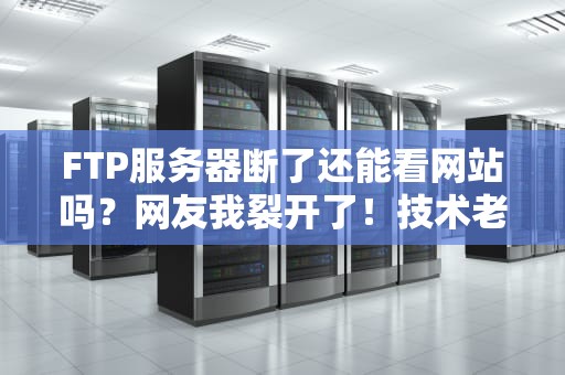 FTP服务器断了还能看网站吗？网友我裂开了！技术老哥在线急救指南