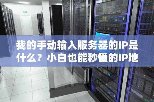 我的手动输入服务器的IP是什么？小白也能秒懂的IP地址科普指南