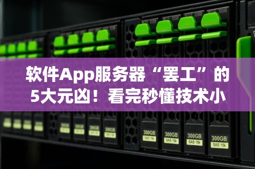 软件App服务器“罢工”的5大元凶！看完秒懂技术小哥的崩溃日常