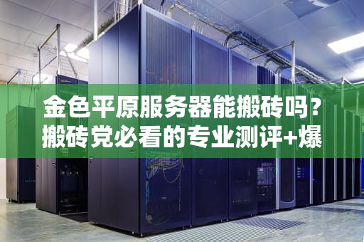 金色平原服务器能搬砖吗？搬砖党必看的专业测评+爆笑指南！