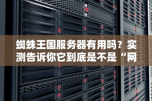 蜘蛛王国服务器有用吗？实测告诉你它到底是不是“网”红！