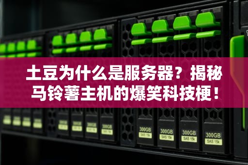 土豆为什么是服务器？揭秘马铃薯主机的爆笑科技梗！